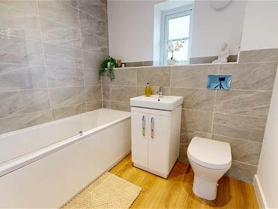 Picture 14